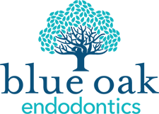 Blue Oak Endodontics